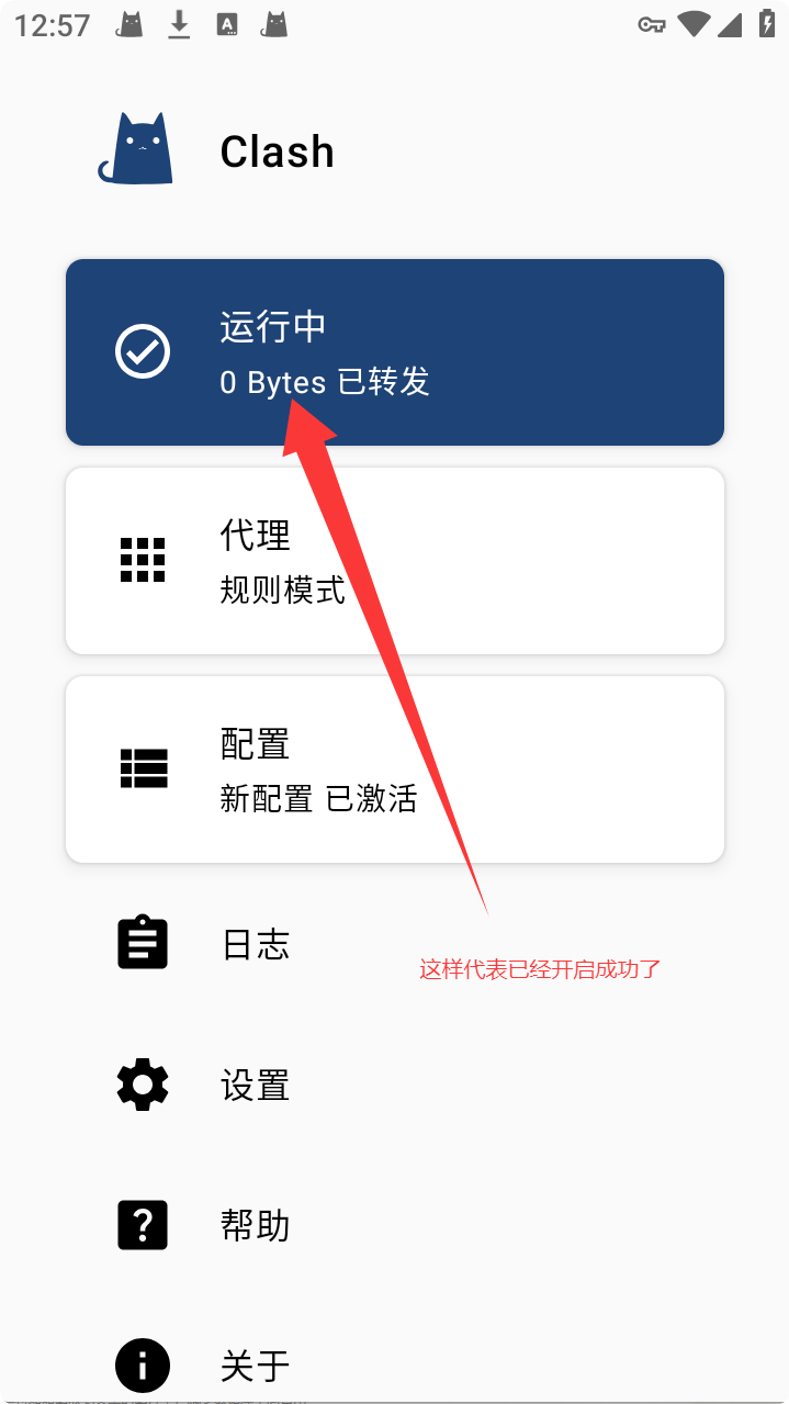 图片[11] - 节点导入教程Shadowrocket/clash forAndroid - 阿亮哥的小博客